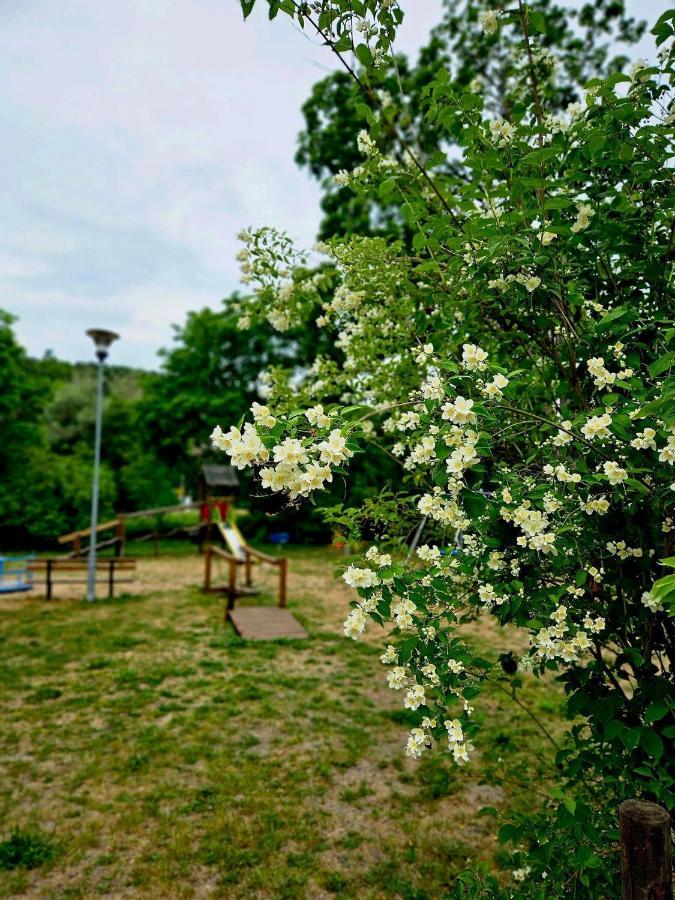 Smoldzinskie Zacisze Smołdzino Dış mekan fotoğraf